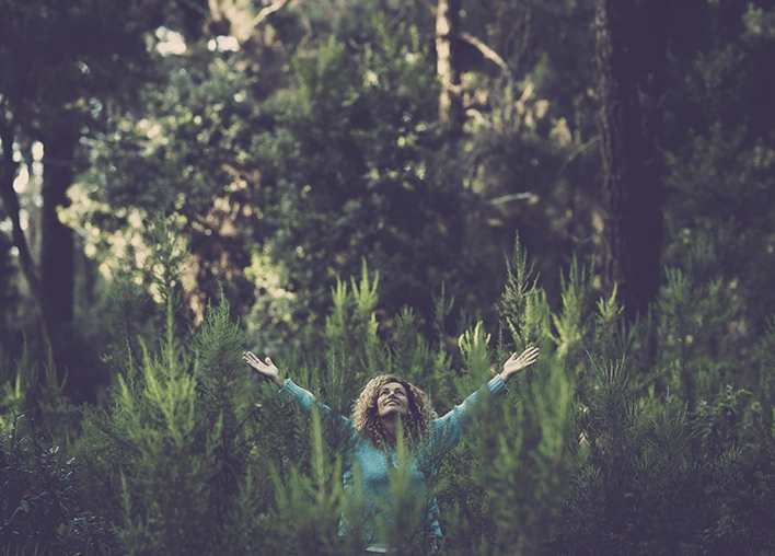 Forest image that represents sustainable develpment