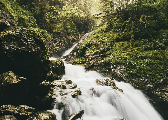 Forest and river image that represents sustainable develpment