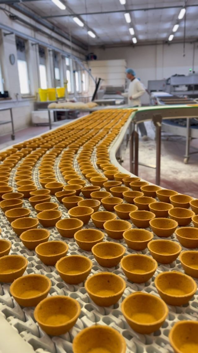 Dans les coulisses de Food N’Joy à Dottignies découvrons les pâtissiers qui préparent les coupelles hautes « tomato » prêtes à garnir ! Découvrez la gamme de fonds de tartelettes pour usage salé. 😍 

Visit our vegan tartshells production workshop ! 🇧🇪

📌 follow us @foodnjoy_crocin_rolphrolph 

Retrouvez les produits sur croc-in.com 

#crocin #foodnjoy #foodandjoy #belgianhandmadequality #tartshell #tartshells #fondsdetartelettes #traiteur #restaurant #atelier #coulisses #zerodechet #vegan #patisserie #aidealapatisserie#pretagarnir #readytofill #inthefactory #howitismade