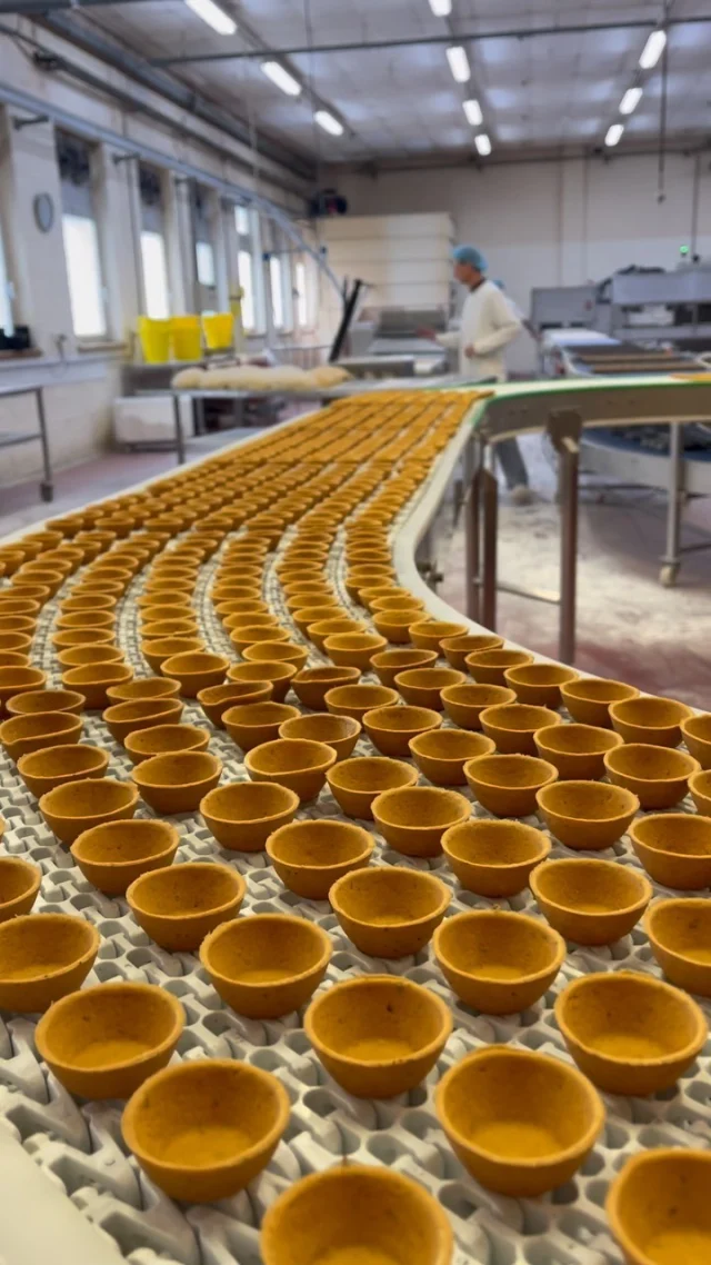 Dans les coulisses de Food N’Joy à Dottignies découvrons les pâtissiers qui préparent les coupelles hautes « tomato » prêtes à garnir ! Découvrez la gamme de fonds de tartelettes pour usage salé. 😍 

Visit our vegan tartshells production workshop ! 🇧🇪

📌 follow us @foodnjoy_crocin_rolphrolph 

Retrouvez les produits sur croc-in.com 

#crocin #foodnjoy #foodandjoy #belgianhandmadequality #tartshell #tartshells #fondsdetartelettes #traiteur #restaurant #atelier #coulisses #zerodechet #vegan #patisserie #aidealapatisserie#pretagarnir #readytofill #inthefactory #howitismade
